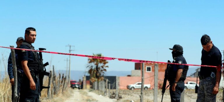 Sheinbaum pide a FGR informar la próxima semana sobre crematorios clandestinos de Teuchitlán, Jalisco Sheinbaum pide a FGR informar la próxima semana sobre crematorios clandestinos de Teuchitlán, Jalisco