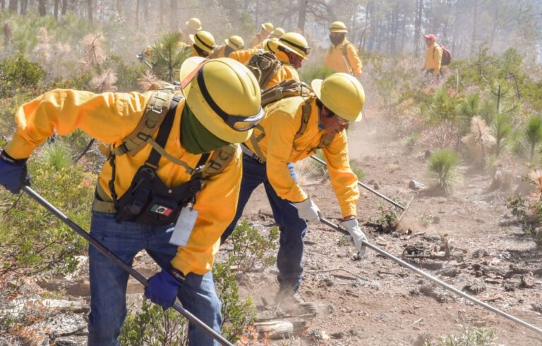 En manos de sólo 36 personas, 40 mil hectáreas de ejidos En manos de sólo 36 personas, 40 mil hectáreas de ejidos