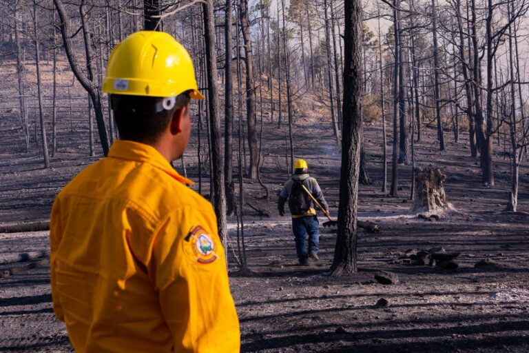 Registra Desarrollo Rural sólo 2 incendios forestales este domingo