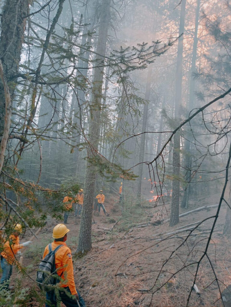 Registran 17 incendios forestales activos en el estado Registran 17 incendios forestales activos en el estado
