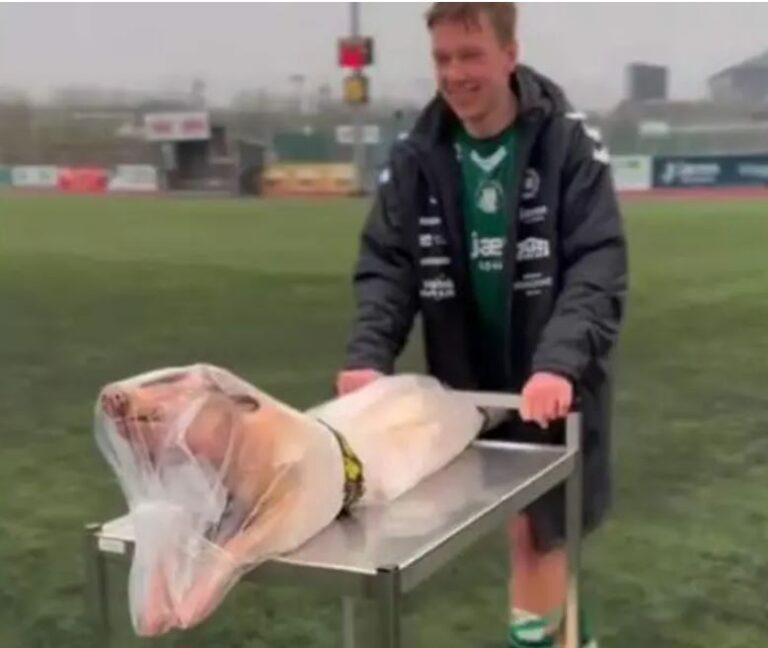 Un insólito premio para el MVP: un cerdo entero