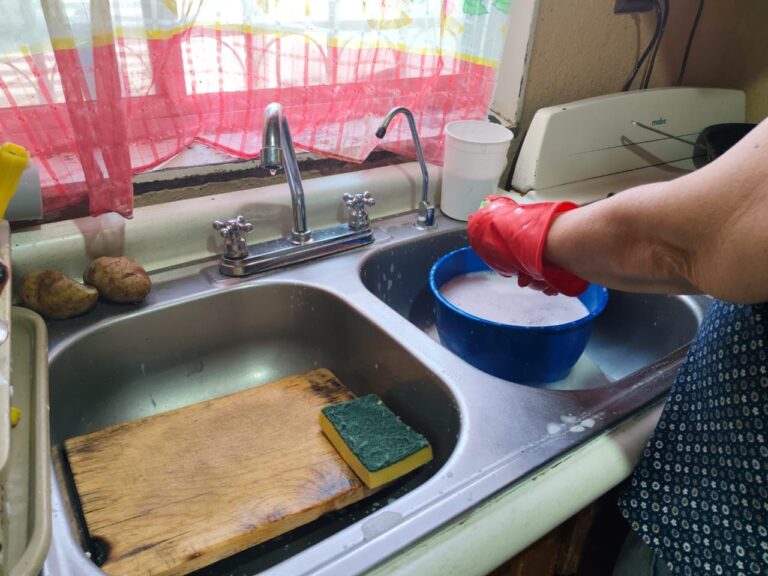 La UACH te dice cómo usar desinfectante en alimentos de forma segura en el hogar La UACH te dice cómo usar desinfectante en alimentos de forma segura en el hogar
