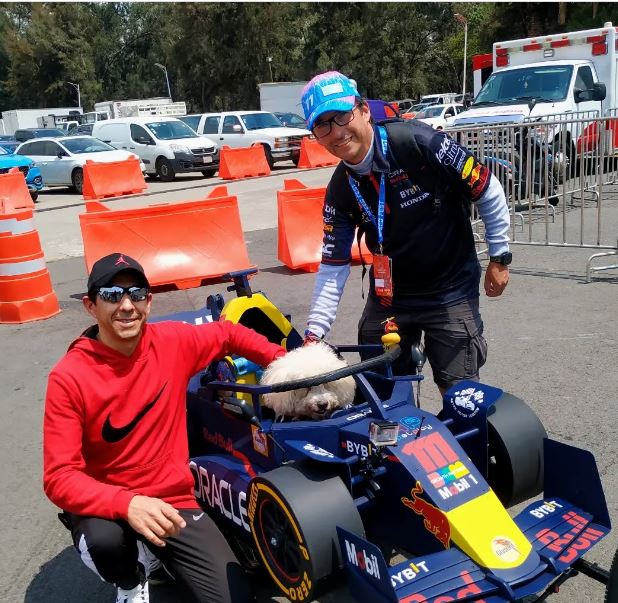 Murió Fabbio, el perro que paseaba en un carro F1 y era fan del Checo Pérez Murió Fabbio, el perro que paseaba en un carro F1 y era fan del Checo Pérez