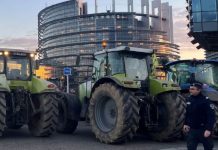 Gobierno de Francia pide una tregua navideña a los agricultores tras advertencia de bloqueos carreteros durante vacaciones