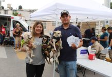 Exhorta Municipio a vacunar, esterilizar y desparasitar a mascotas