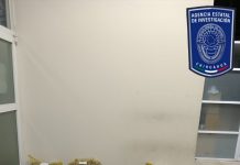 Detienen a probables responsables de robo de nuez y cacahuate en Parral